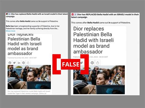 does christian dior support palestine|FACT CHECK: No, Dior Did Not Replace Bella Hadid With.